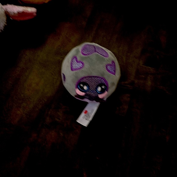 So this is a lady bug toy - Picture 1 of 2